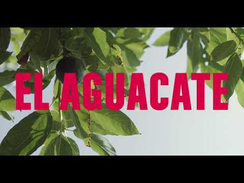 El Aguacate | Official Trailer (2018) | Film Threat Trailers