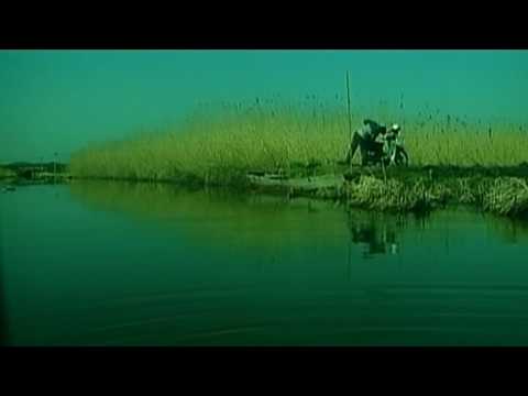 Raigyo - Tödliche Ekstase