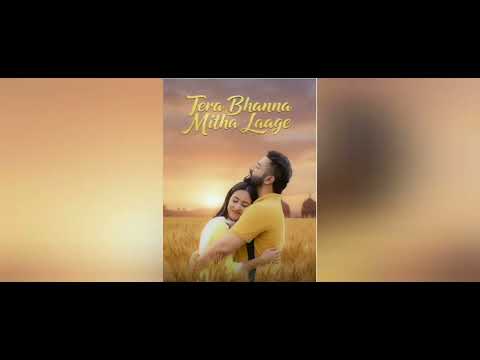 Tera Bhanna Mitha Laage (2025) Punjabi Movie HD ESub