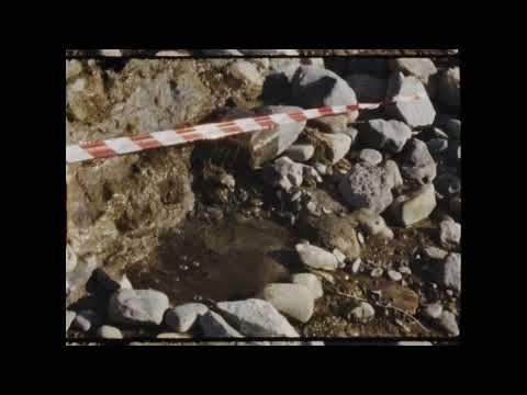 20250213_VESTIGIO_TEASER_4K