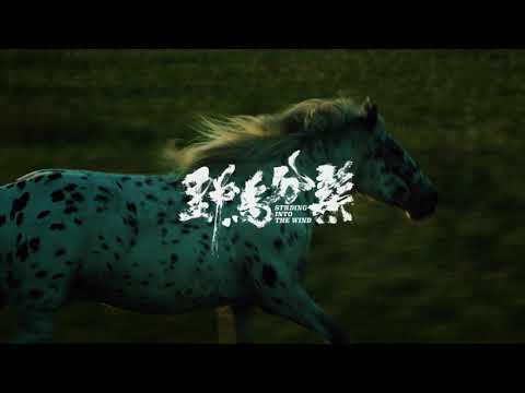 STRIDING INTO THE WIND Trailer| Cannes 2020 Wei Shujun's satire on current state of indie filmmaking