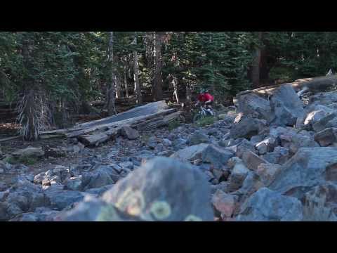 JUST RELEASED: The Human Experiment Trailer