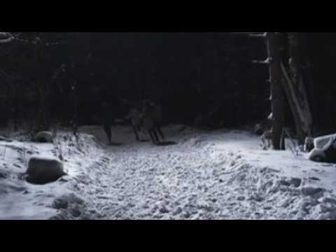 The Inheritance - OFFICIAL TRAILER