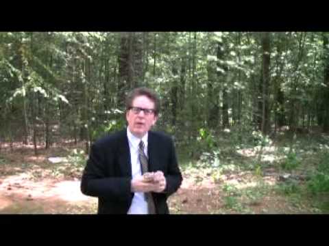 Vampires Vs. Zombies Trailer