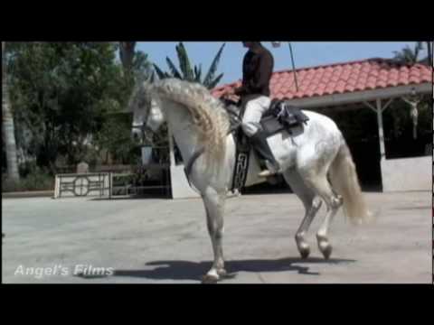 La Apuesta del Pueblo (Trailer)