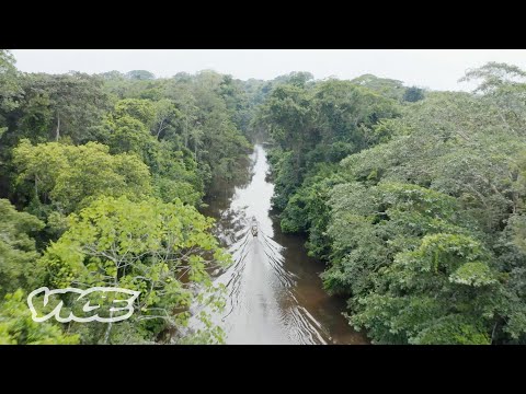 Unknown Amazon (Trailer)