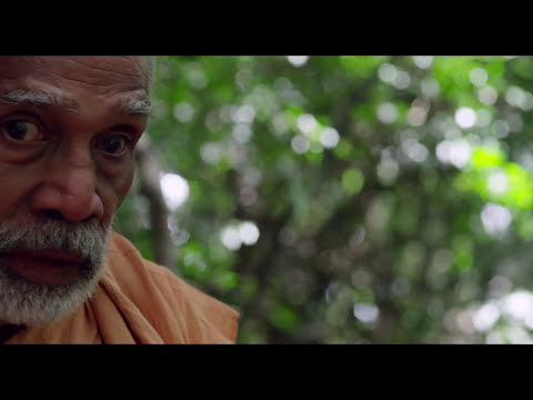 BIFF l 2015 Asian Cinema Leopard Do Not Bite