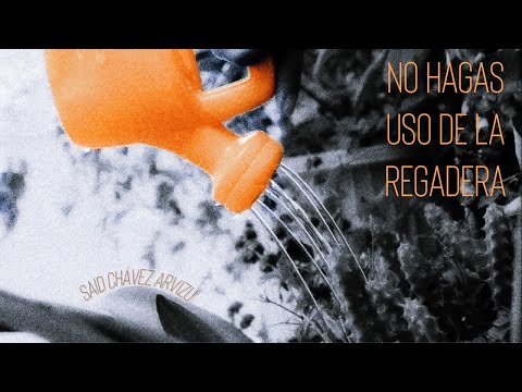 No Hagas Uso de la Regadera | Cortometraje de Said Chávez