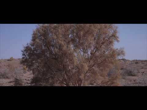 Gumai Trailer｜《古日乃》预告片