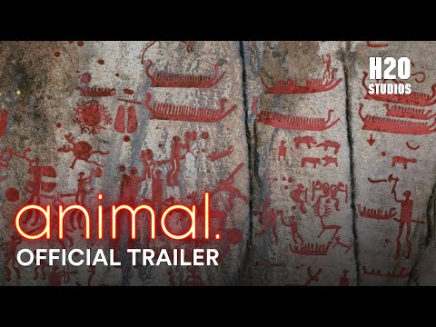 animal. | Official Trailer