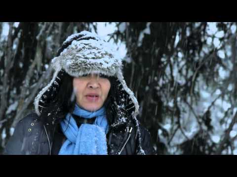 Melody of Noise - Trailer Full HD