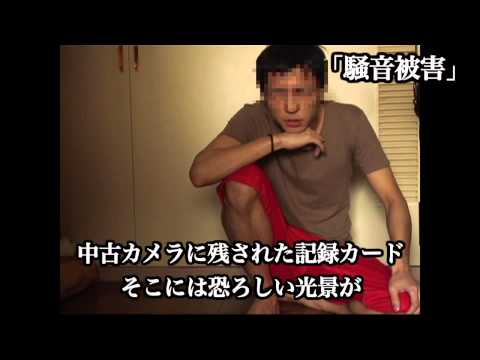 「封印映像１４ 猫塚の呪い」予告