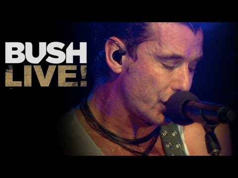 BUSH NEW BLU-RAY & DVD! "The Sound Of Winter" Live at Roseland Theater from "BUSH LIVE!" (HD)