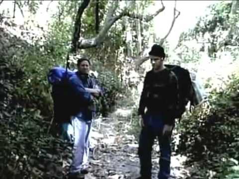 the bogus witch project