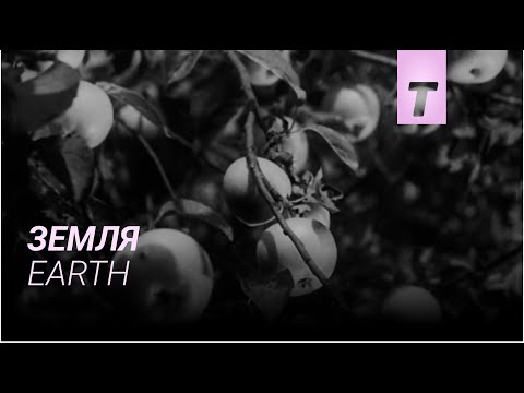 Земля / Earth