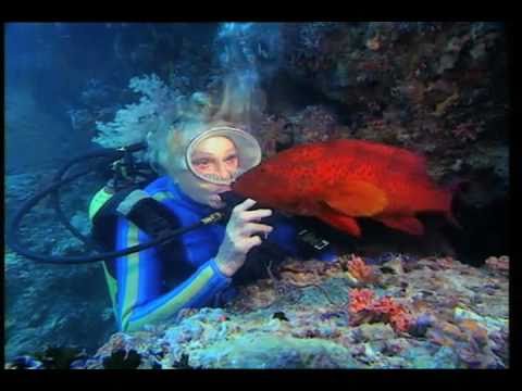 The Wonderful Horrible Life of Leni Reifenstahl Official Film Trailer