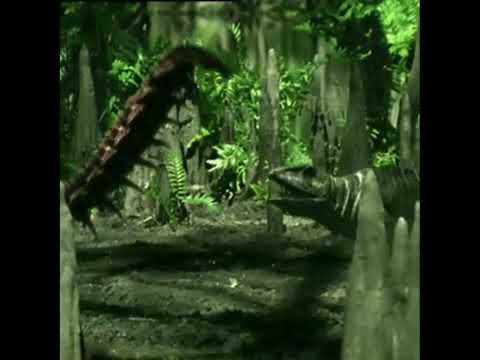 Walking With Monsters Trailer