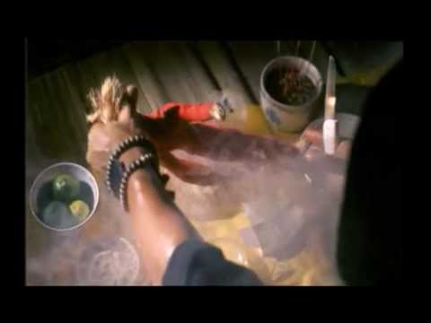 Pontianak Menjerit - Trailer