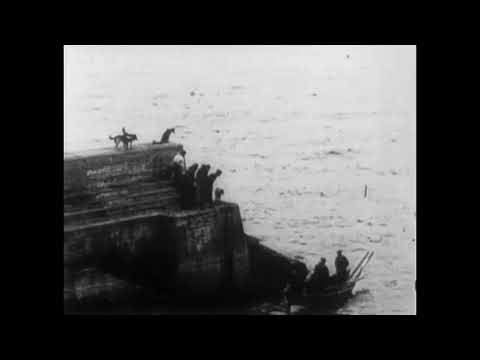 St. Kilda, Its People and Birds (1908) Williamson Kinematograph