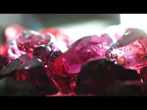 Sharing the Rough Trailer