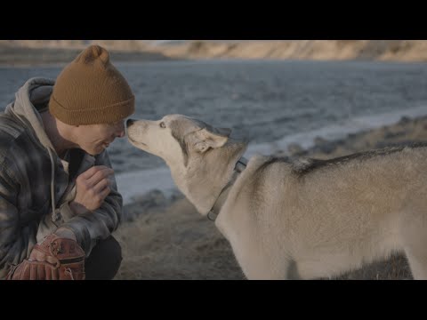 THE YEAR OF THE DOG | Official Theatrical Trailer