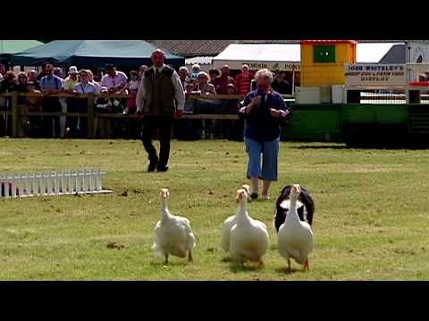 Trailer: Tractor Ted Showtime