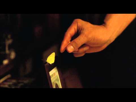 STILL WALKING Trailer (2008) - The Criterion Collection