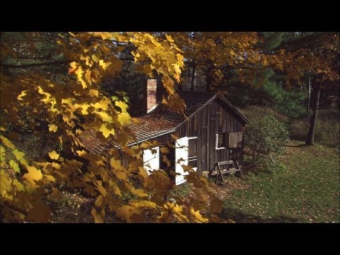 Green Fire trailer 1:00min