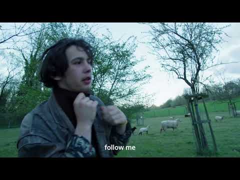 Le Perroquet dans sa Soucoupe - KASK Toelatingsproef