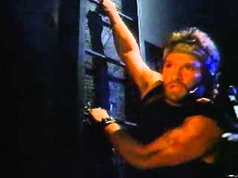 The Terror Within 2 (1991)