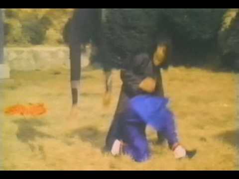 Zombie vs. Ninja - Trailer