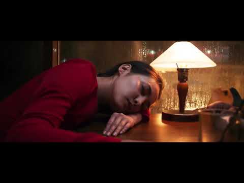 Film Trailer  The Gentle Indifference of the World