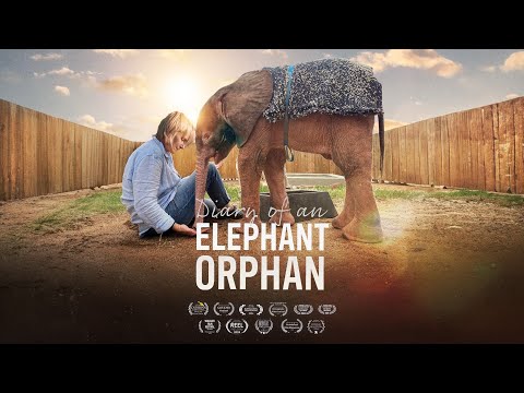 DIARY OF AN ELEPHANT ORPHAN Official Trailer