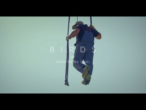Birds (Or How To Be One) / Όρνιθες (ή Πώς να γίνεις πουλί) by Babis Makridis – International Trailer