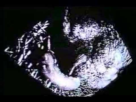 Filme Caseiro Número Um (Petter Baiestorf, 2001)