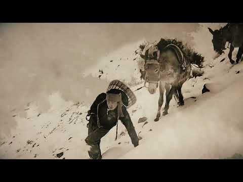 The Tea Explorer - A film by Andrew Gregg - Official Trailer