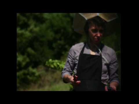 Cinéma du réel 2020 - L'AGE D'OR de Jean-Baptiste Alazard