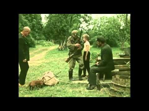 Laanetaguse suvi (1980) - Eesti lastefilmide sari