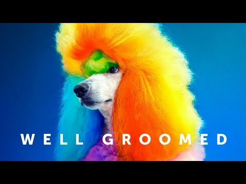 Well Groomed (2019) | Trailer HD | SXSW | Creative Dog Grooming | Documentary Movie