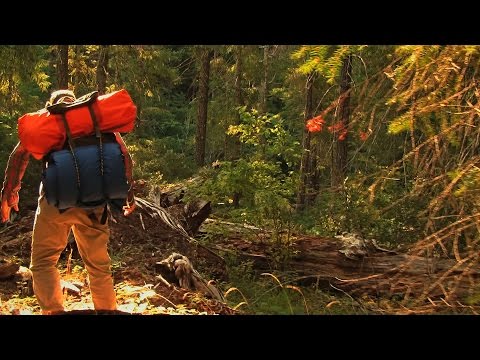 Willow Creek - Official Trailer