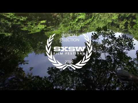 IN PURSUIT OF SILENCE (official trailer)