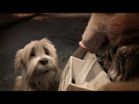 Higglety Pigglety Pop or There Must Be More to Life