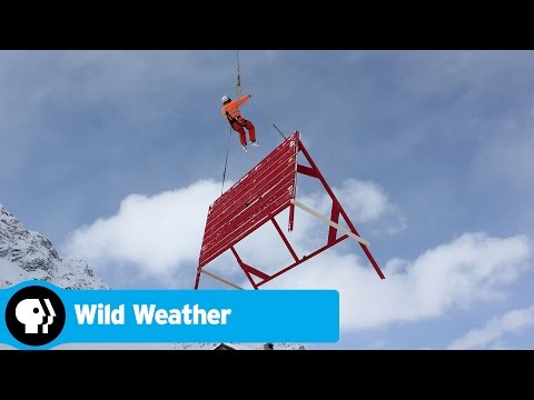 WILD WEATHER | Official Trailer | PBS