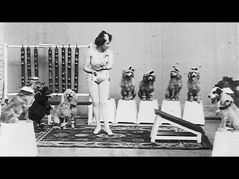Miss Dundee and her Performing Dogs (1902)