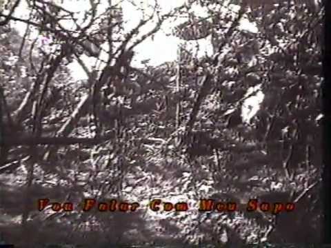 Vomitando Lesmas Lisérgicas (Petter Baiestorf, 1997)