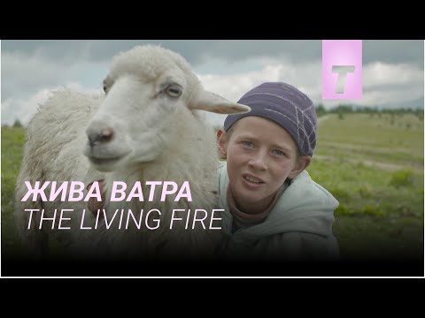 Жива ватра / Трейлер фільму
