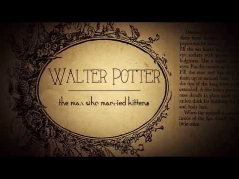 Walter Potter: The Man Who Married Kittens - TRAILER