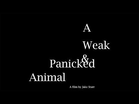 A Weak & Panicked Animal (2024) Trailer