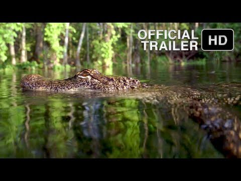 HURRICANE ON THE BAYOU Official Movie Trailer HD -- IMAX film narrated by Meryl Streep