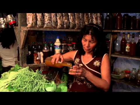 Ayahuasca Diary trailer